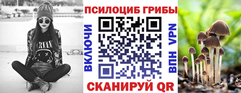 Купить  Владивосток  Галлюциногенные грибы Cubensis 